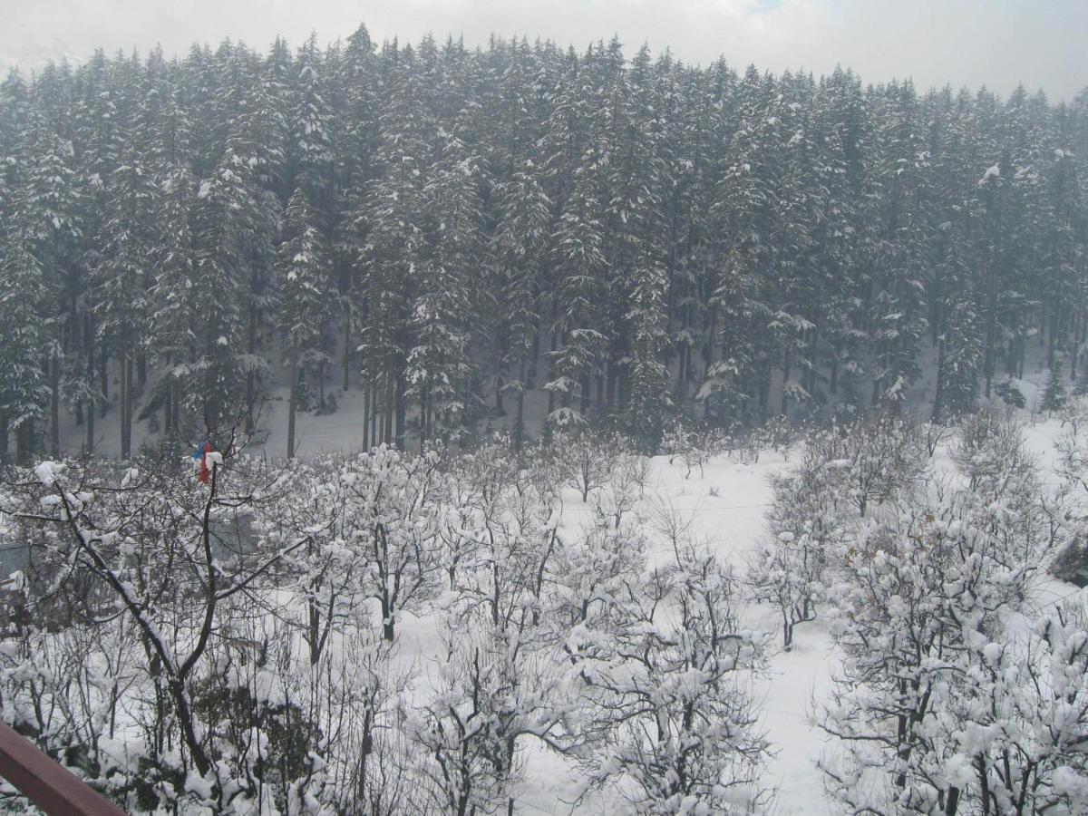 Snow Valley Resorts & Spa Manali מראה חיצוני תמונה